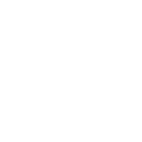 價格優勢與技術支持